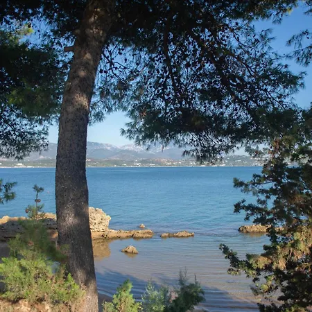 Sea Breeze Bliss