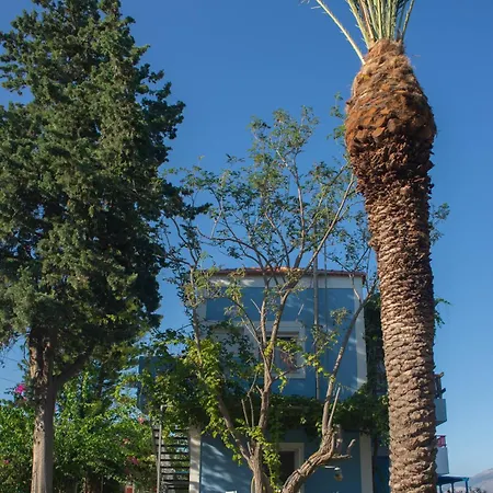 Sea Breeze Bliss 릭수리